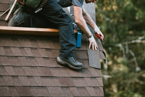 Best Roof Gutter Cleaning  in Summit Park, UT